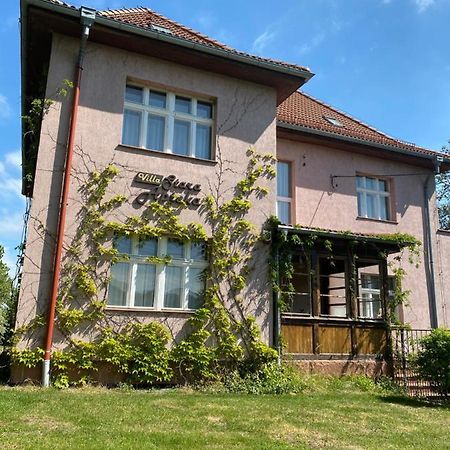 Villa Stara Apteka Srebrna Góra Esterno foto